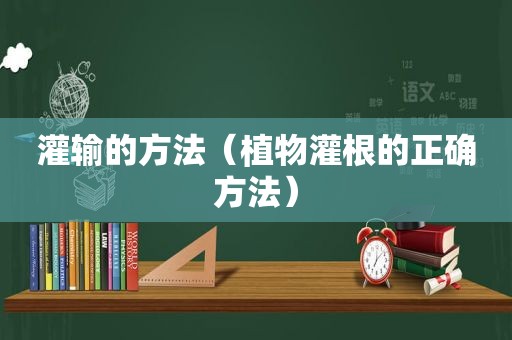 灌输的方法（植物灌根的正确方法）