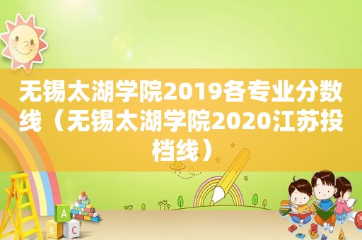 无锡太湖学院2019各专业分数线（无锡太湖学院2020江苏投档线）
