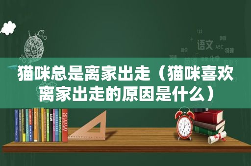 猫咪总是离家出走（猫咪喜欢离家出走的原因是什么）