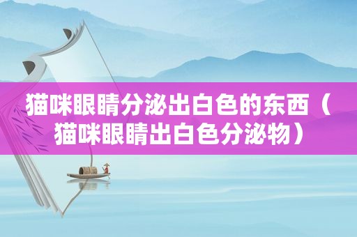 猫咪眼睛分泌出白色的东西（猫咪眼睛出白色分泌物）