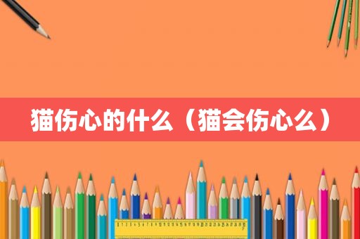 猫伤心的什么（猫会伤心么）
