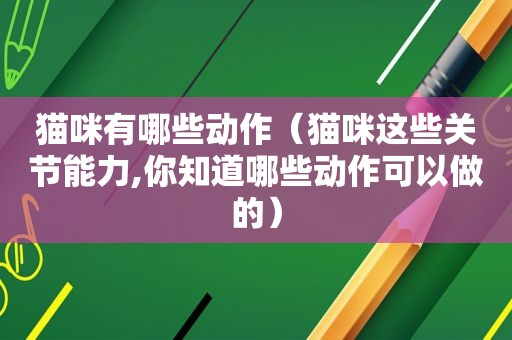 猫咪有哪些动作（猫咪这些关节能力,你知道哪些动作可以做的）