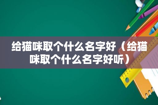 给猫咪取个什么名字好（给猫咪取个什么名字好听）