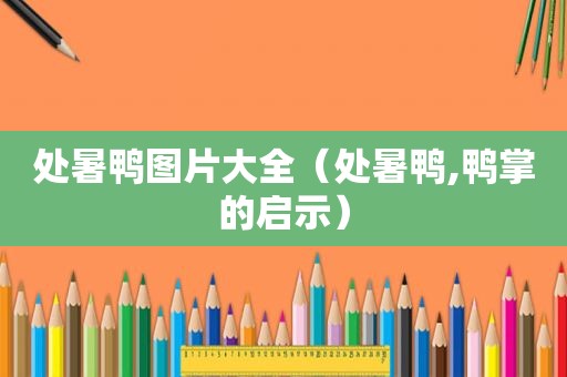 处暑鸭图片大全（处暑鸭,鸭掌的启示）