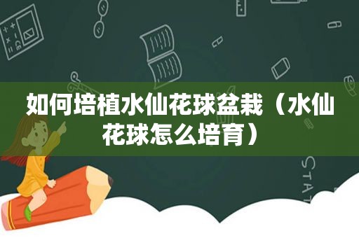 如何培植水仙花球盆栽（水仙花球怎么培育）