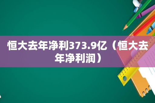恒大去年净利373.9亿（恒大去年净利润）