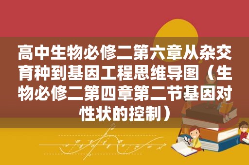 高中生物必修二第六章从杂交育种到基因工程思维导图（生物必修二第四章第二节基因对性状的控制）