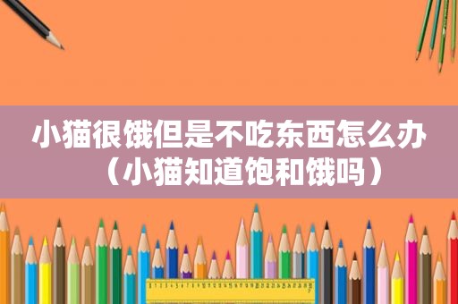 小猫很饿但是不吃东西怎么办（小猫知道饱和饿吗）