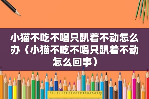 小猫不吃不喝只趴着不动怎么办（小猫不吃不喝只趴着不动怎么回事）