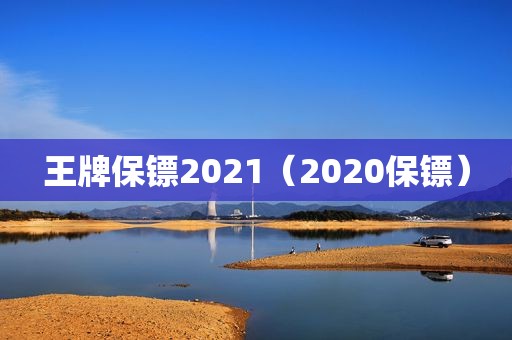 王牌保镖2021（2020保镖）