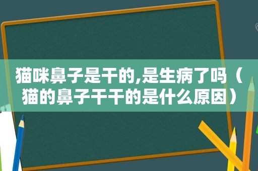 猫咪鼻子是干的,是生病了吗（猫的鼻子干干的是什么原因）
