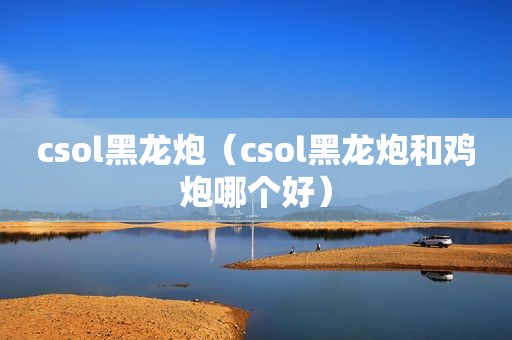 csol黑龙炮（csol黑龙炮和鸡炮哪个好）