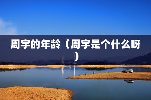 周宇的年龄（周宇是个什么呀）