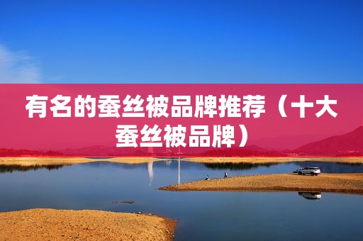 有名的蚕丝被品牌推荐（十大蚕丝被品牌）