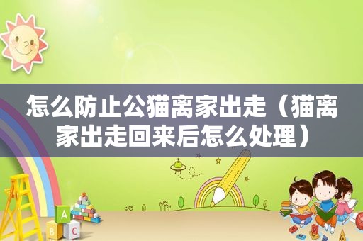 怎么防止公猫离家出走（猫离家出走回来后怎么处理）
