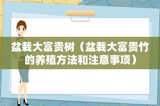 盆栽大富贵树（盆栽大富贵竹的养殖方法和注意事项）