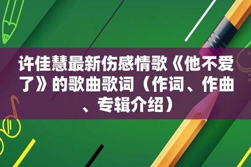 许佳慧最新伤感情歌《他不爱了》的歌曲歌词（作词、作曲、专辑介绍）