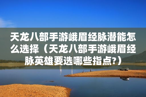 天龙八部手游峨眉经脉潜能怎么选择（天龙八部手游峨眉经脉英雄要选哪些指点?）