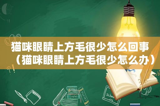 猫咪眼睛上方毛很少怎么回事（猫咪眼睛上方毛很少怎么办）