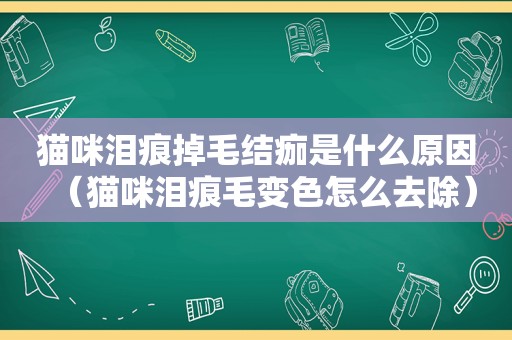 猫咪泪痕掉毛结痂是什么原因（猫咪泪痕毛变色怎么去除）