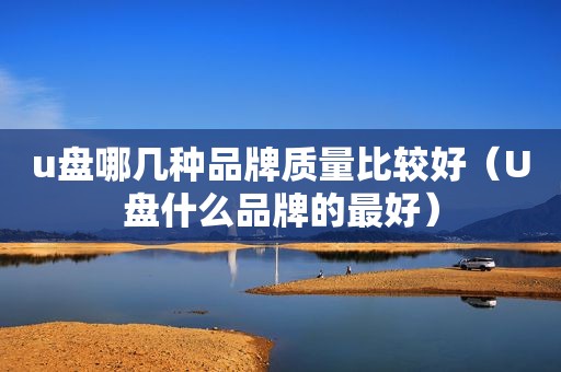 u盘哪几种品牌质量比较好（U盘什么品牌的最好）