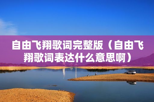 自由飞翔歌词完整版（自由飞翔歌词表达什么意思啊）