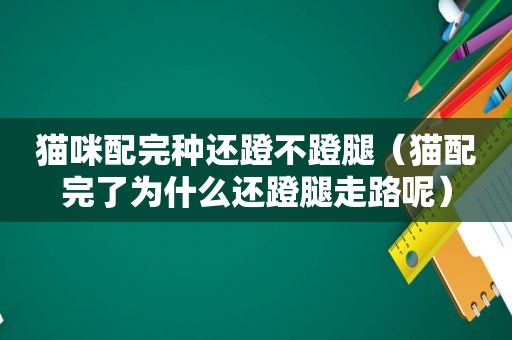 猫咪配完种还蹬不蹬腿（猫配完了为什么还蹬腿走路呢）