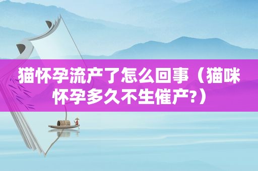 猫怀孕流产了怎么回事（猫咪怀孕多久不生催产?）