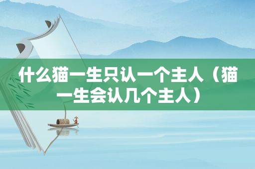 什么猫一生只认一个主人（猫一生会认几个主人）