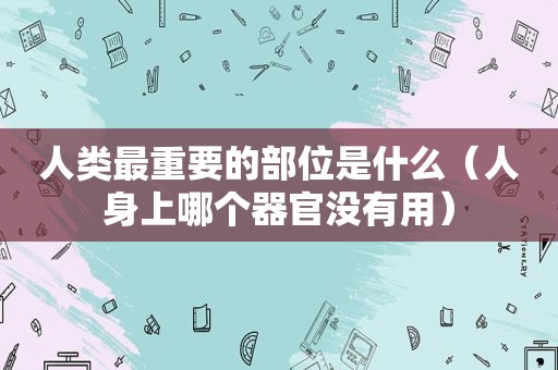 人类最重要的部位是什么（人身上哪个器官没有用）