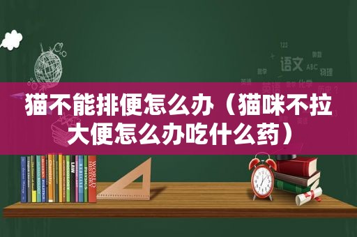 猫不能排便怎么办（猫咪不拉大便怎么办吃什么药）