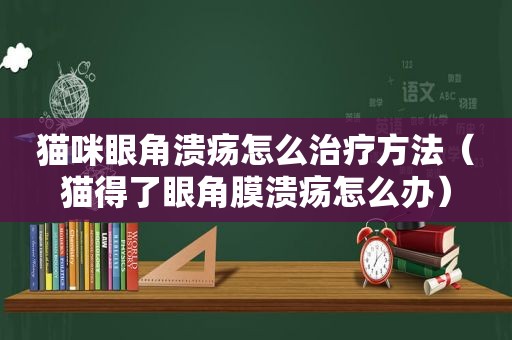 猫咪眼角溃疡怎么治疗方法（猫得了眼角膜溃疡怎么办）