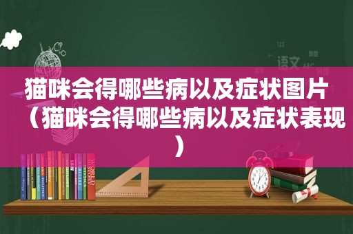 猫咪会得哪些病以及症状图片（猫咪会得哪些病以及症状表现）