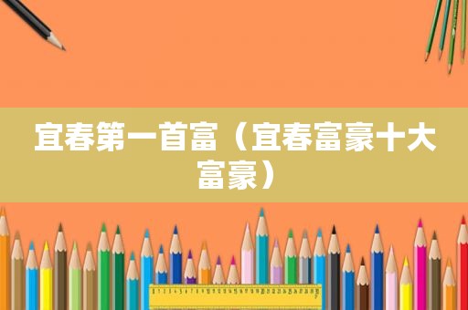 宜春第一首富（宜春富豪十大富豪）