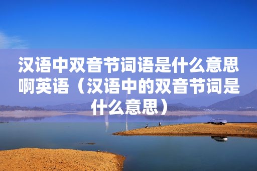 汉语中双音节词语是什么意思啊英语（汉语中的双音节词是什么意思）