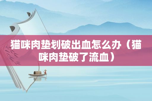 猫咪肉垫划破出血怎么办（猫咪肉垫破了流血）