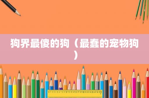狗界最傻的狗（最蠢的宠物狗）