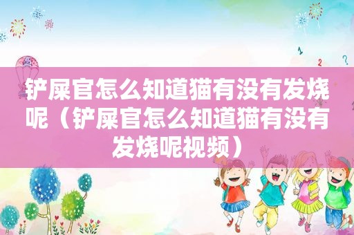 铲屎官怎么知道猫有没有发烧呢（铲屎官怎么知道猫有没有发烧呢视频）