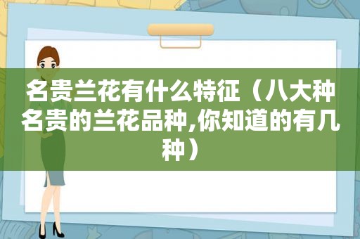 名贵兰花有什么特征（八大种名贵的兰花品种,你知道的有几种）