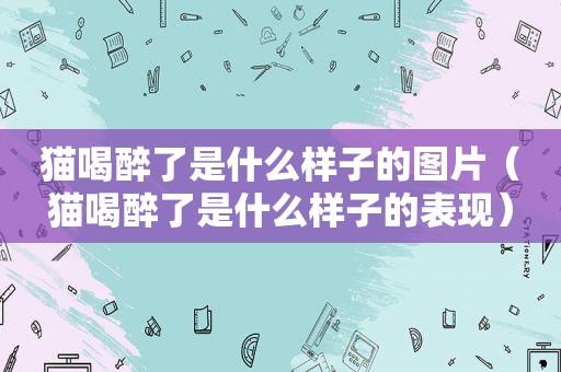 猫喝醉了是什么样子的图片（猫喝醉了是什么样子的表现）