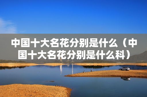 中国十大名花分别是什么（中国十大名花分别是什么科）