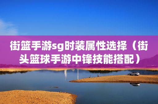 街篮手游sg时装属性选择（街头篮球手游中锋技能搭配）