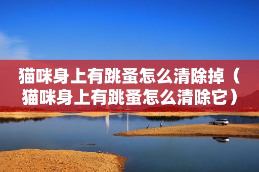 猫咪身上有跳蚤怎么清除掉（猫咪身上有跳蚤怎么清除它）