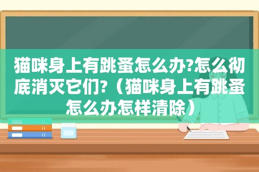 猫咪身上有跳蚤怎么办?怎么彻底消灭它们?（猫咪身上有跳蚤怎么办怎样清除）
