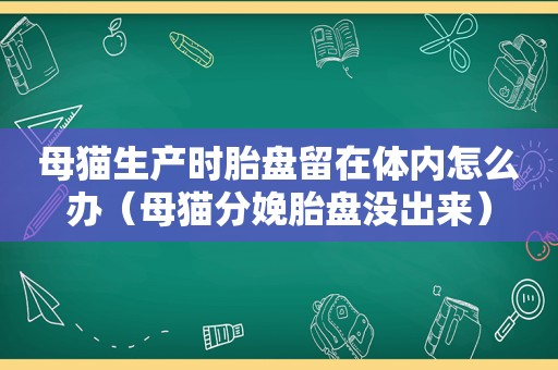 母猫生产时胎盘留在体内怎么办（母猫分娩胎盘没出来）