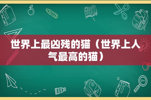 世界上最凶残的猫（世界上人气最高的猫）