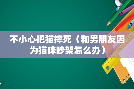 不小心把猫摔死（和男朋友因为猫咪吵架怎么办）