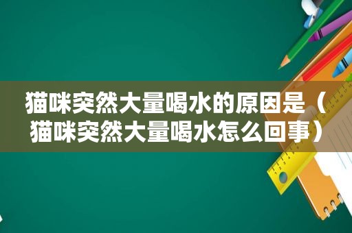 猫咪突然大量喝水的原因是（猫咪突然大量喝水怎么回事）