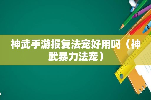 神武手游报复法宠好用吗（神武暴力法宠）