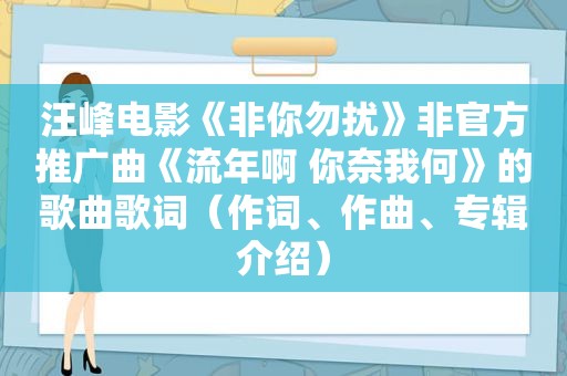 汪峰电影《非你勿扰》非官方推广曲《流年啊 你奈我何》的歌曲歌词（作词、作曲、专辑介绍）